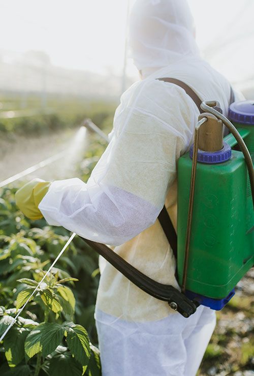 Man with commercial sprayer